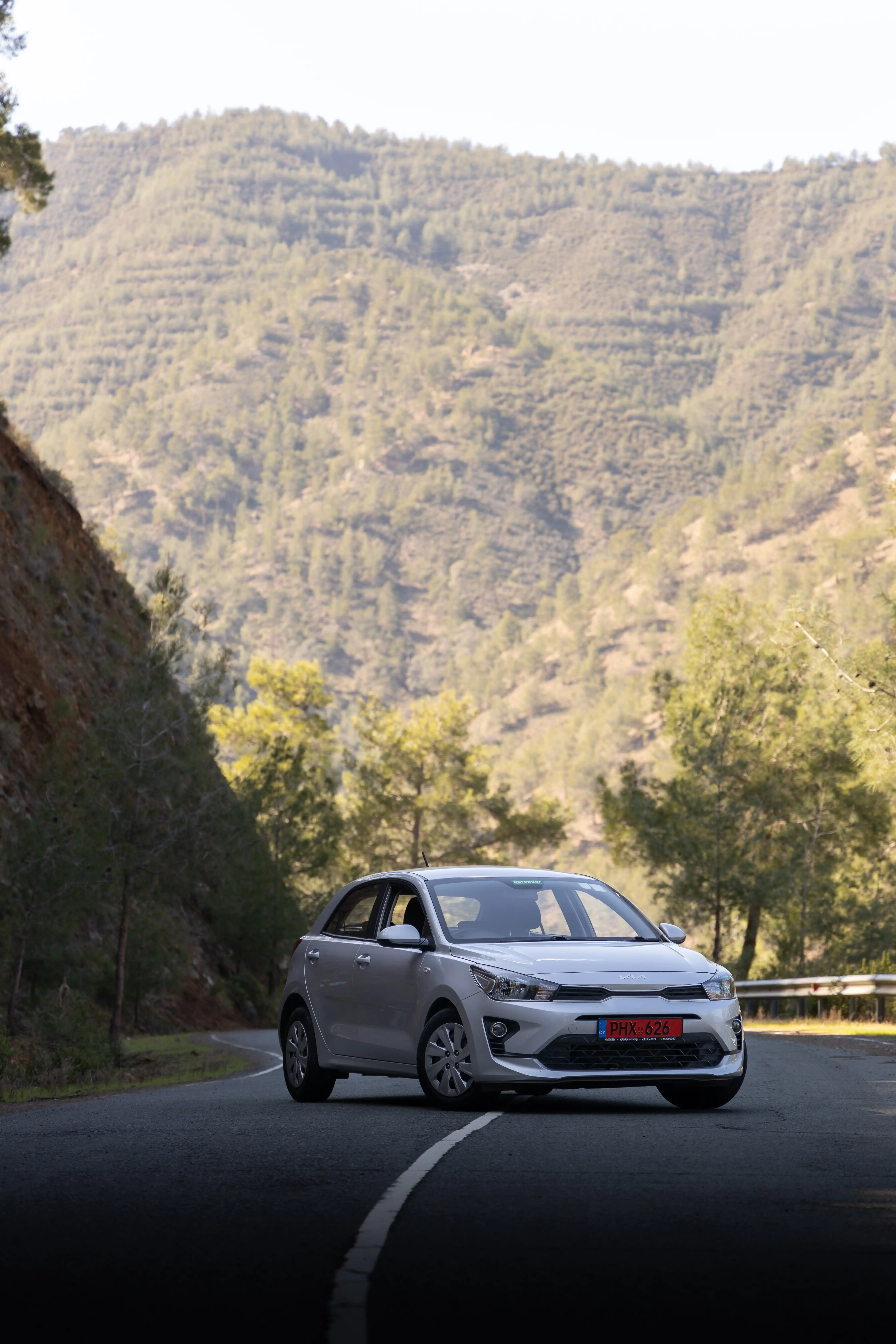 Europcar Cyprus detail 2